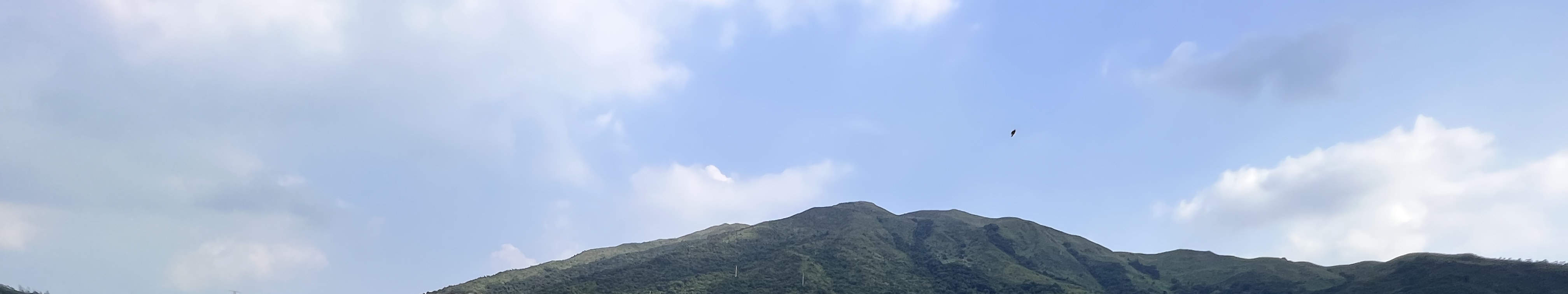 農樂營繽紛夏水禮