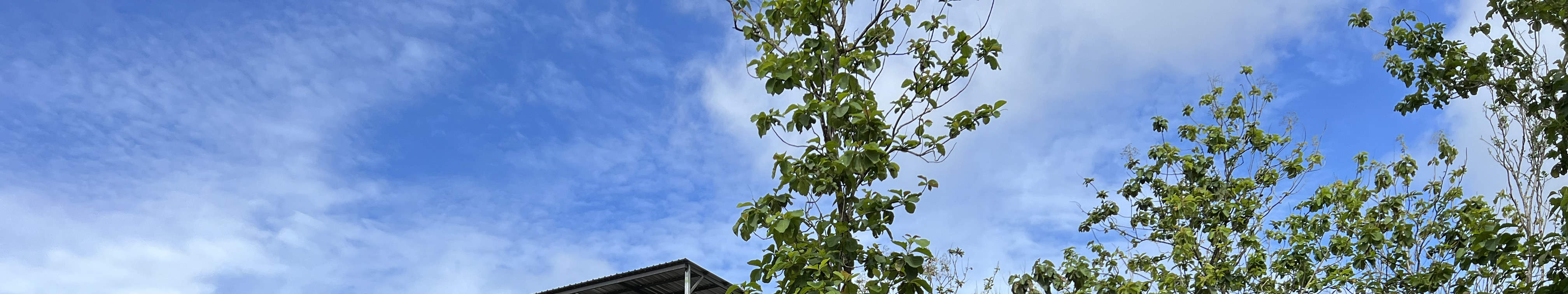 발리 가둥안의 탈라시 에스테이트에서 즐기는 탈라시 제품 여정