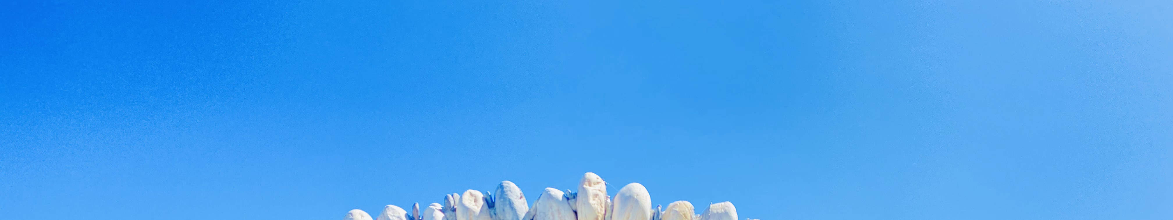 Il mare e la ragazza nel passato