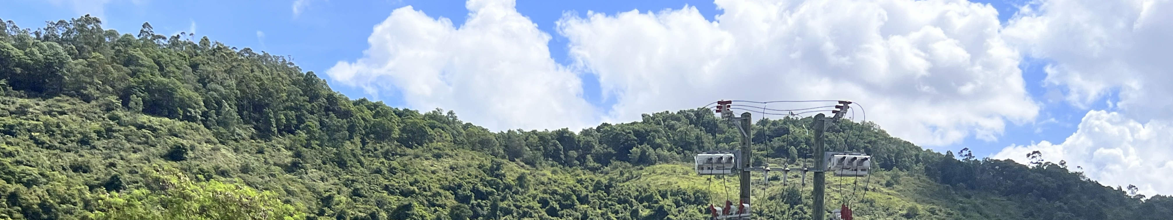 ヤウタムメイ ホリデー キャンプ サマー フェスティバル