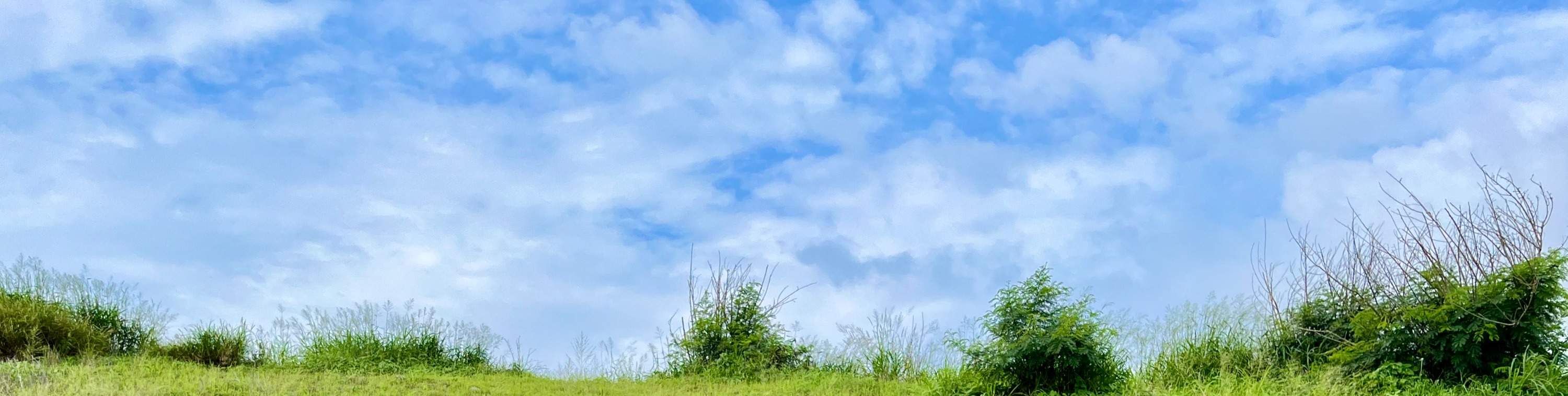 ประสบการณ์การขับขี่จักรยานไฟฟ้า Little Lark