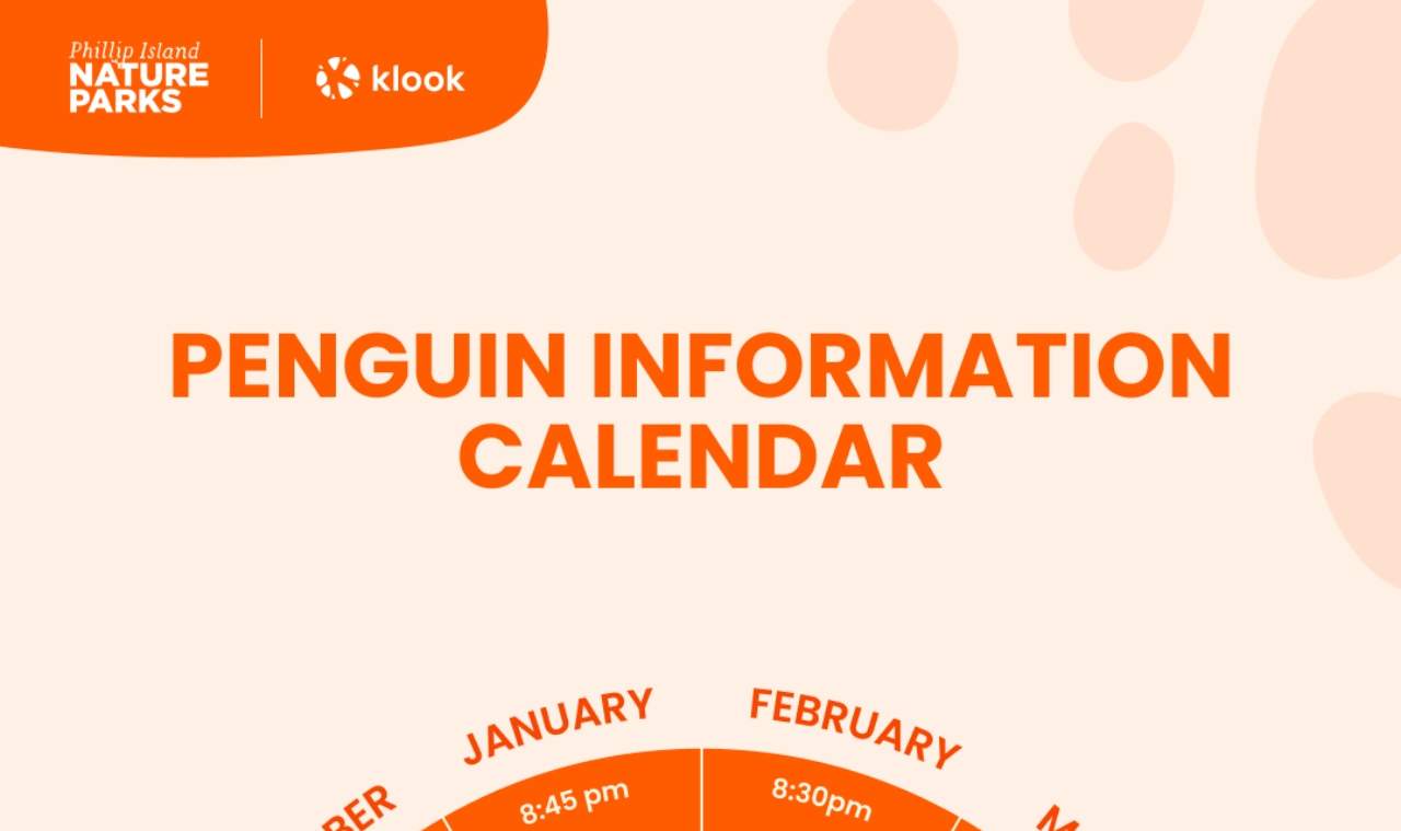 Billet pour la parade des manchots de Phillip Island