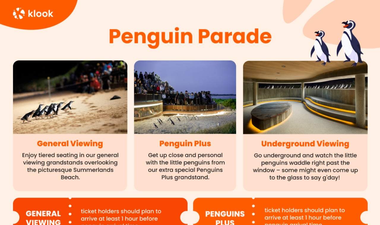 Billet pour la parade des manchots de Phillip Island