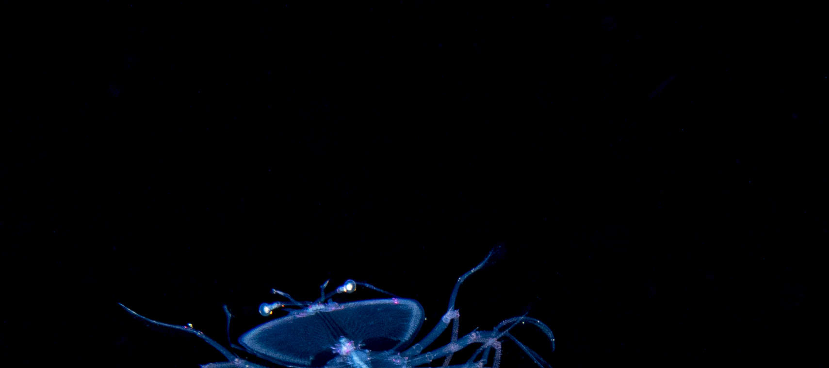 ePembelajaran PADI Enriched Air Diver