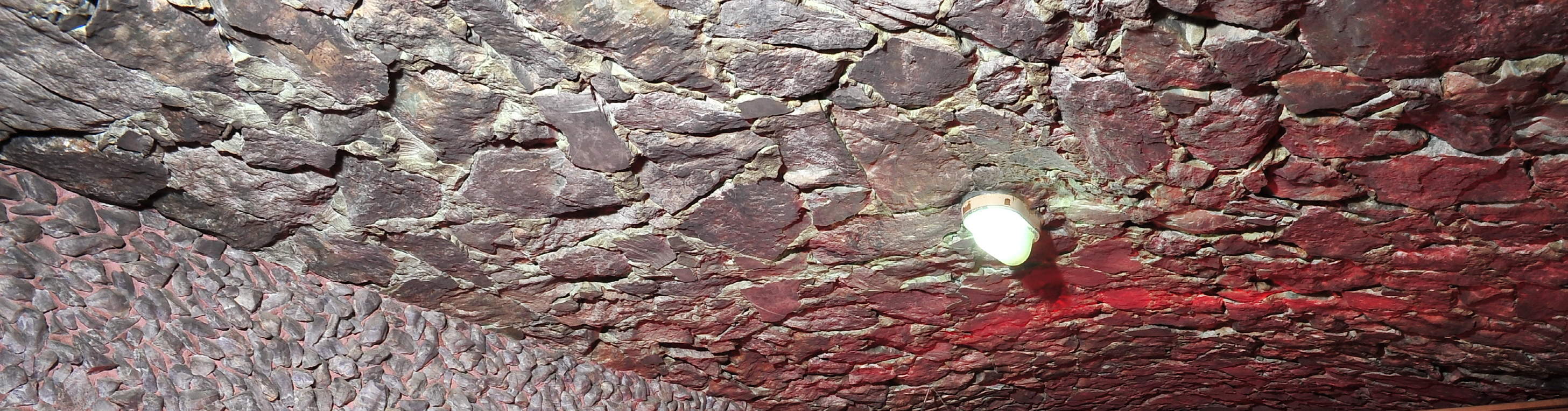 Hana Mud Spa Experience in Myeongdong (For Women Only)