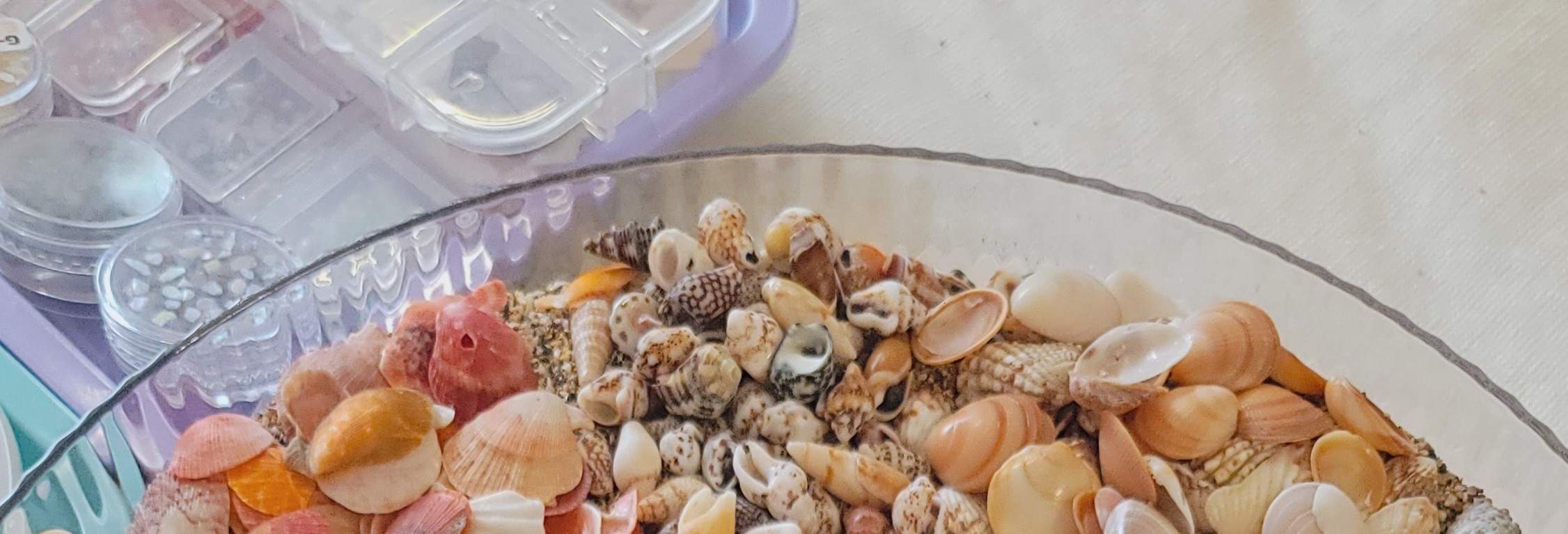 Ada banyak sekali kerang berwarna-warni dalam koleksi kami.