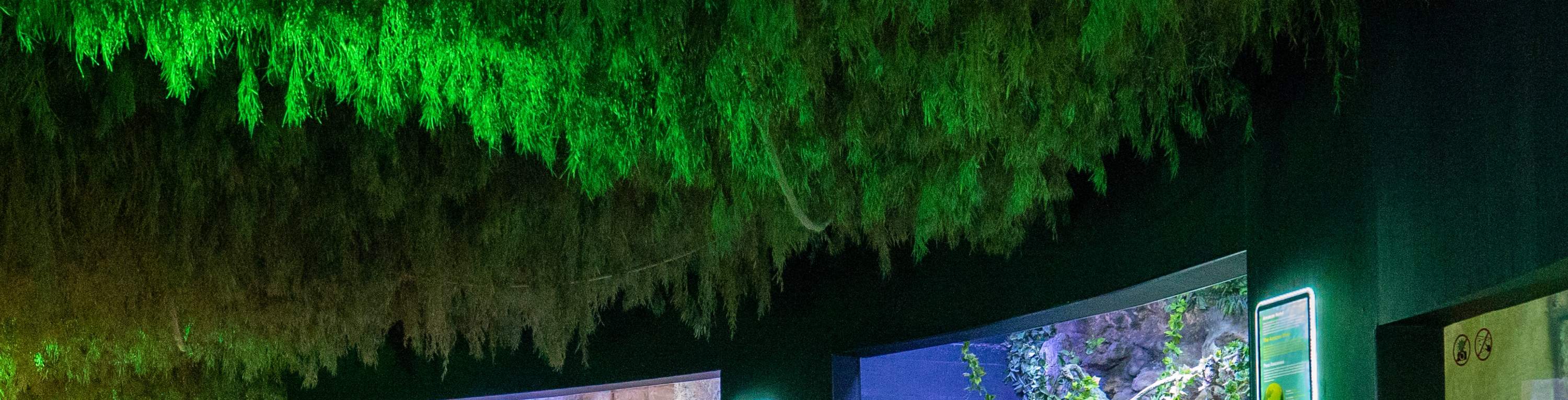 Biglietto d'ingresso all'Antalya Aquarium e al Museo delle Cere