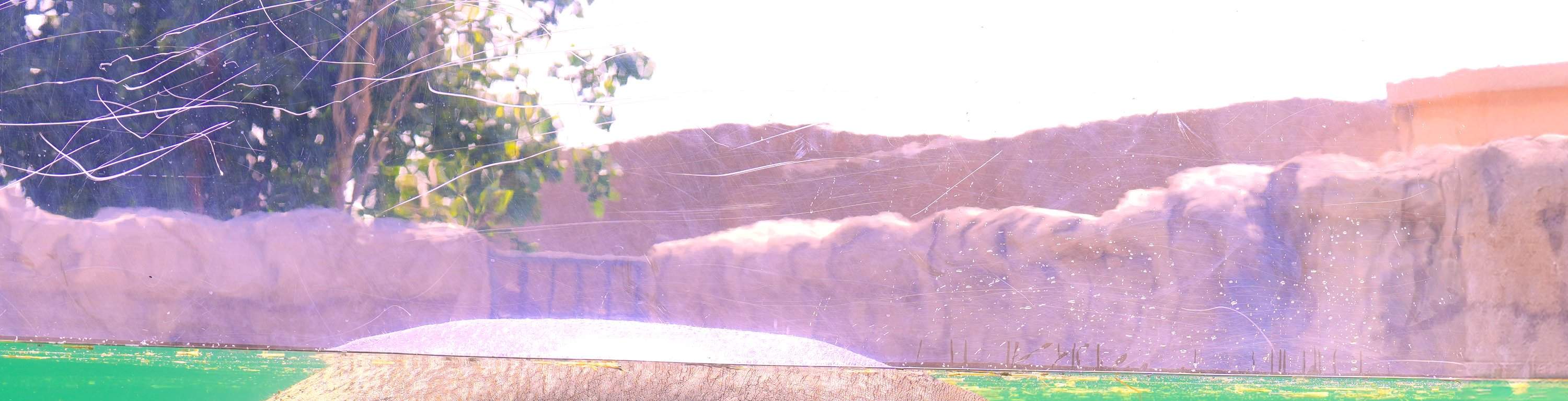 Cầu tại Safari Park