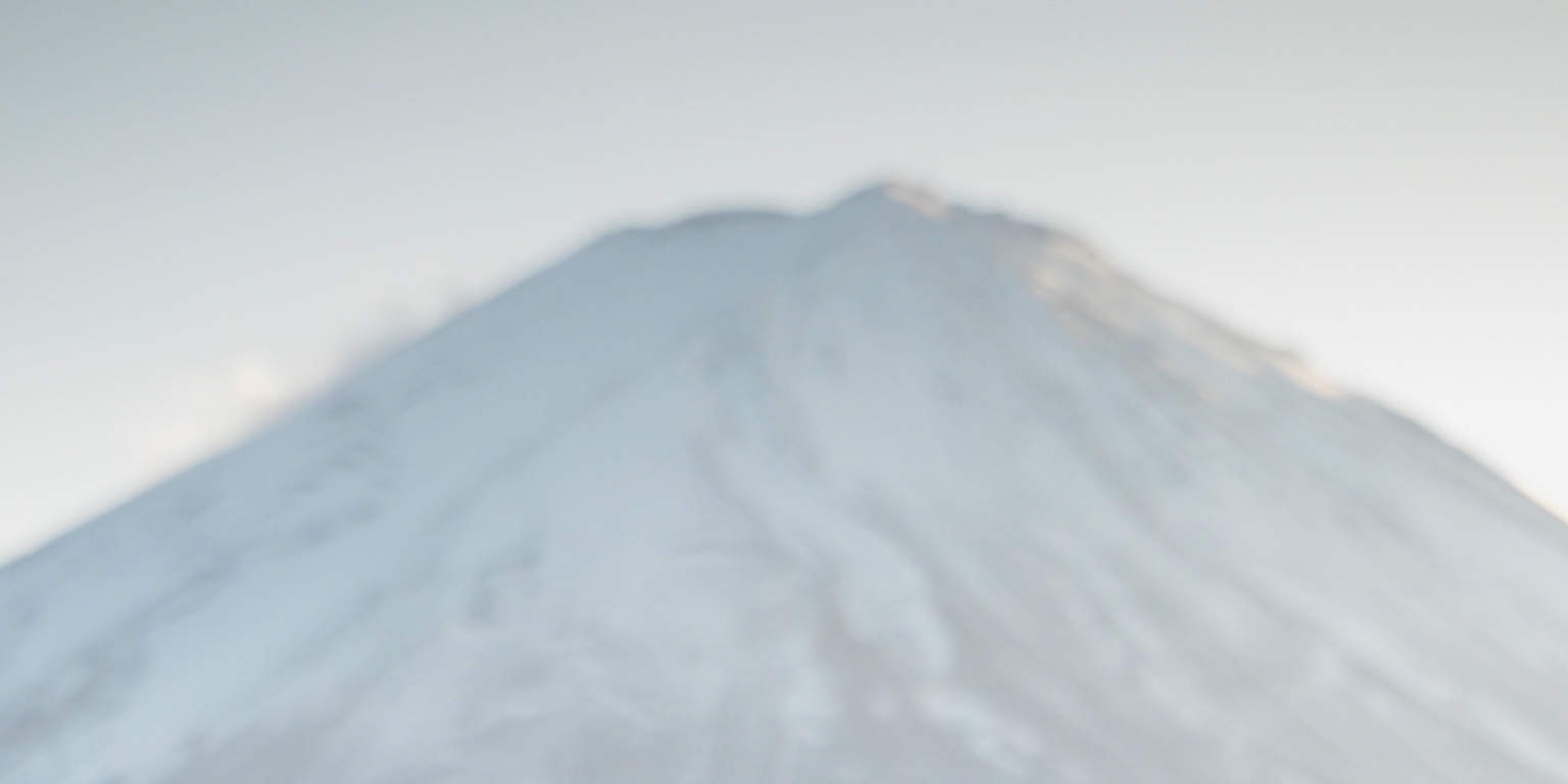 100張以上的快照照片（東京・鎌倉・川越・富士山等全國各地均可對應）