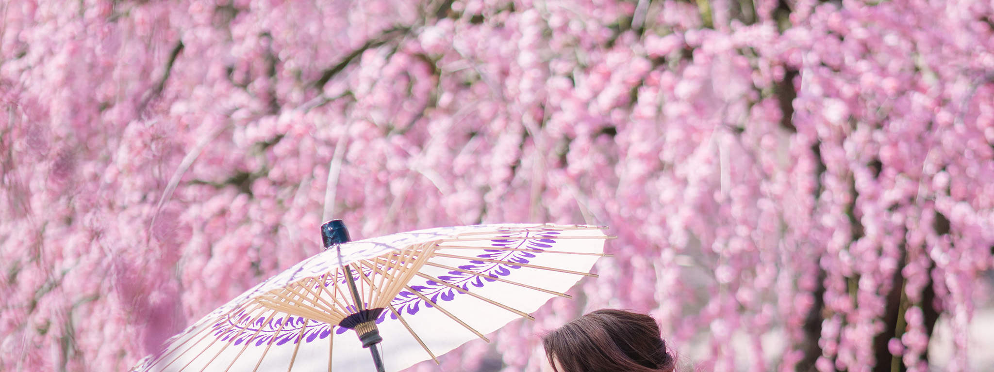 渡月方案。真丝面料搭配传统图案的渡月和服方案，价格7500日元+税（原价8500日元）