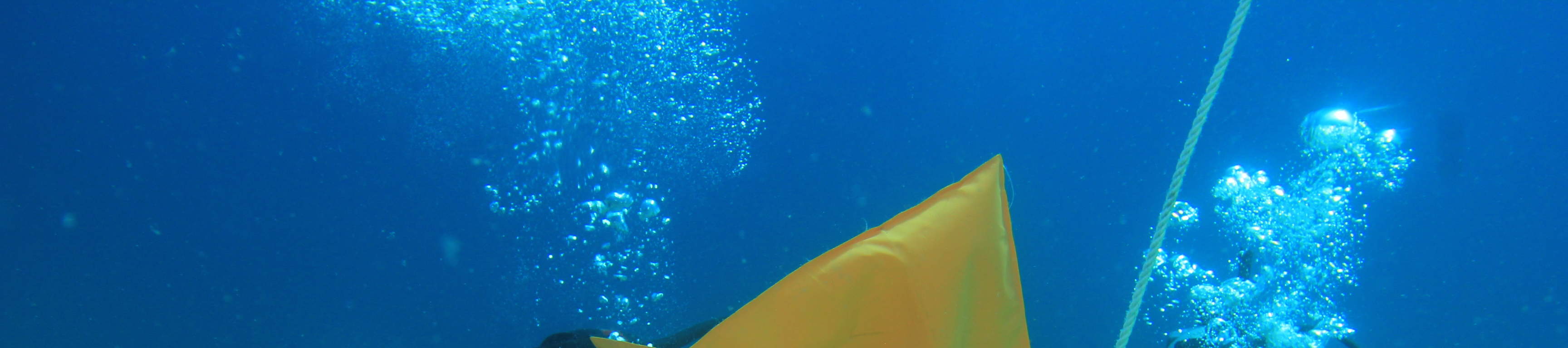 PADI Buceador Avanzado de Aguas Abiertas