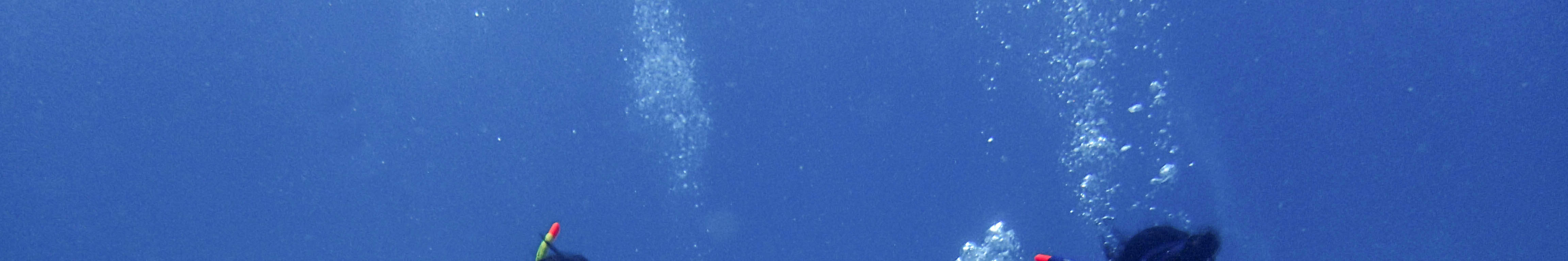 PADI 오픈 워터 다이빙 강습