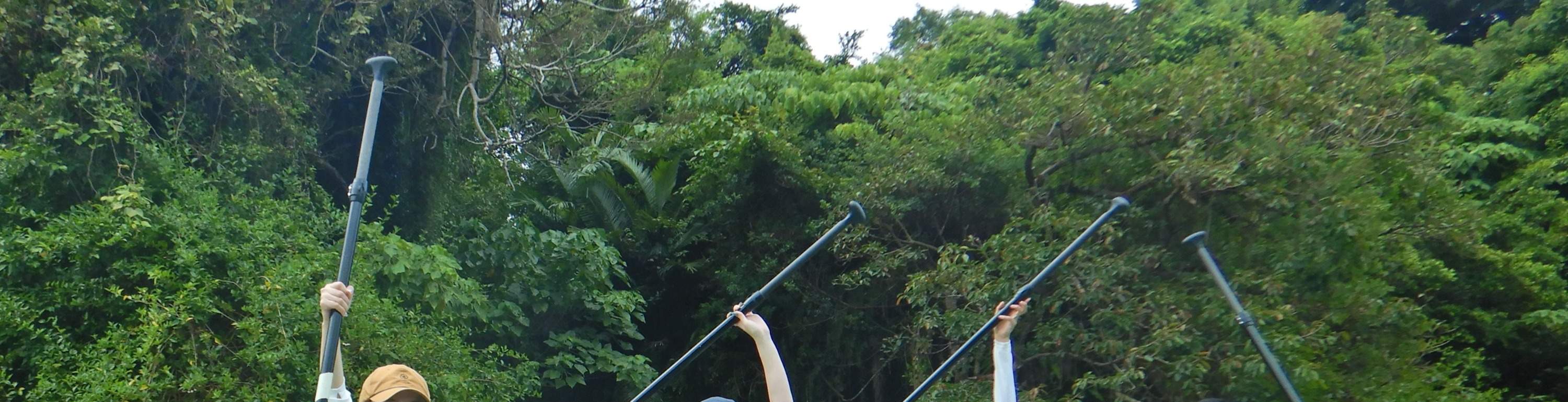 Chèo SUP Ngắm Rừng Ngập Mặn Tại Sông Hijya