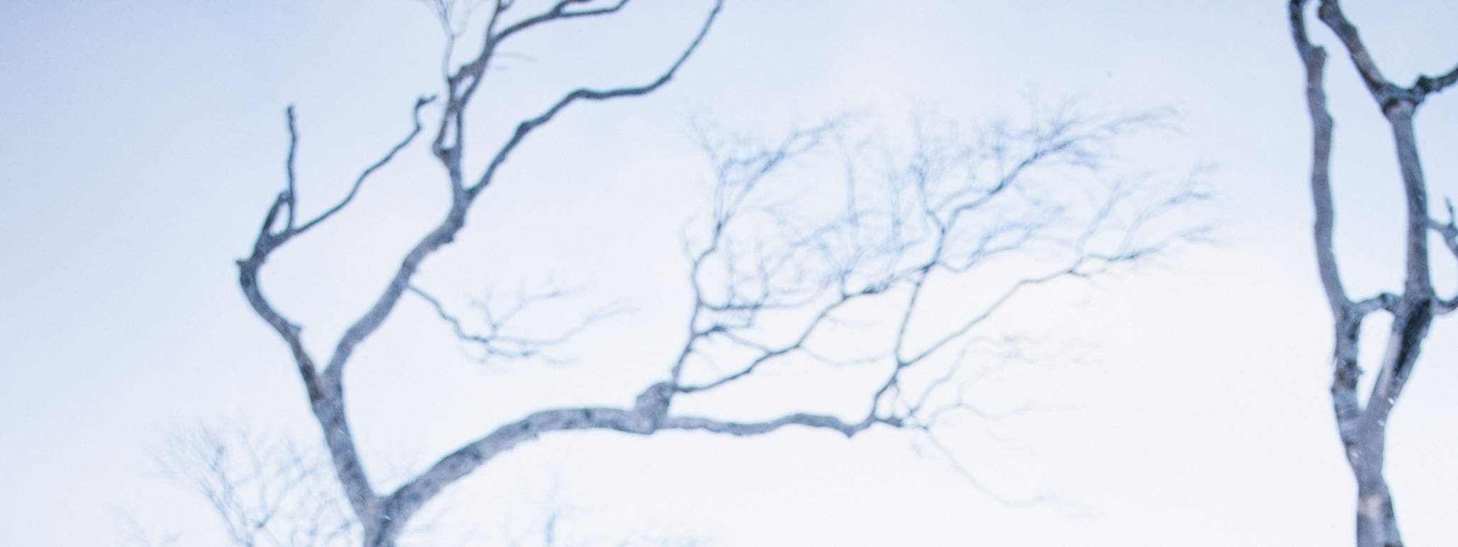 Hokkaido Fotoaufnahmen, Fotografie (Otaru/Sapporo/Niseko/Toyako/Biei)