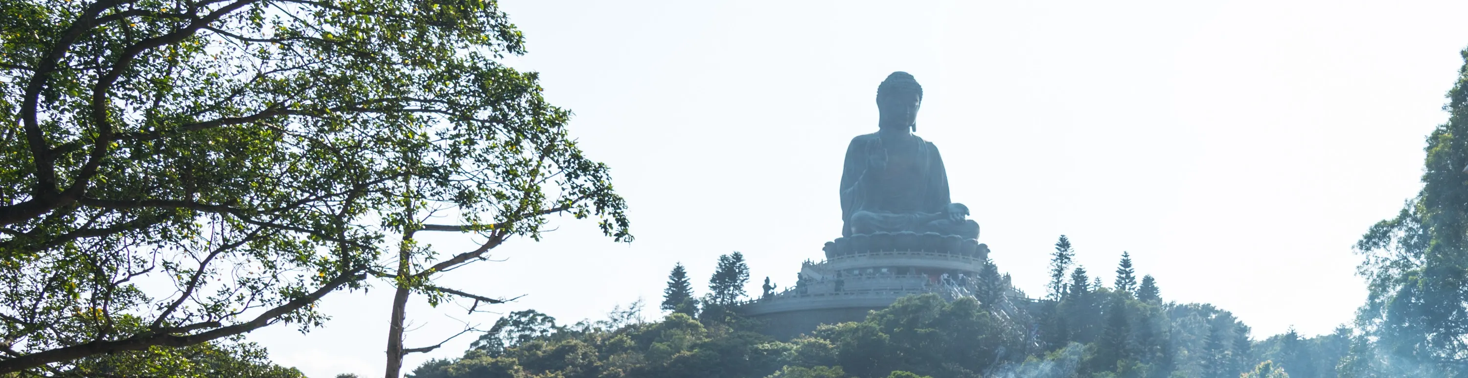 昂坪360&大屿山包车一日游（广东出发）