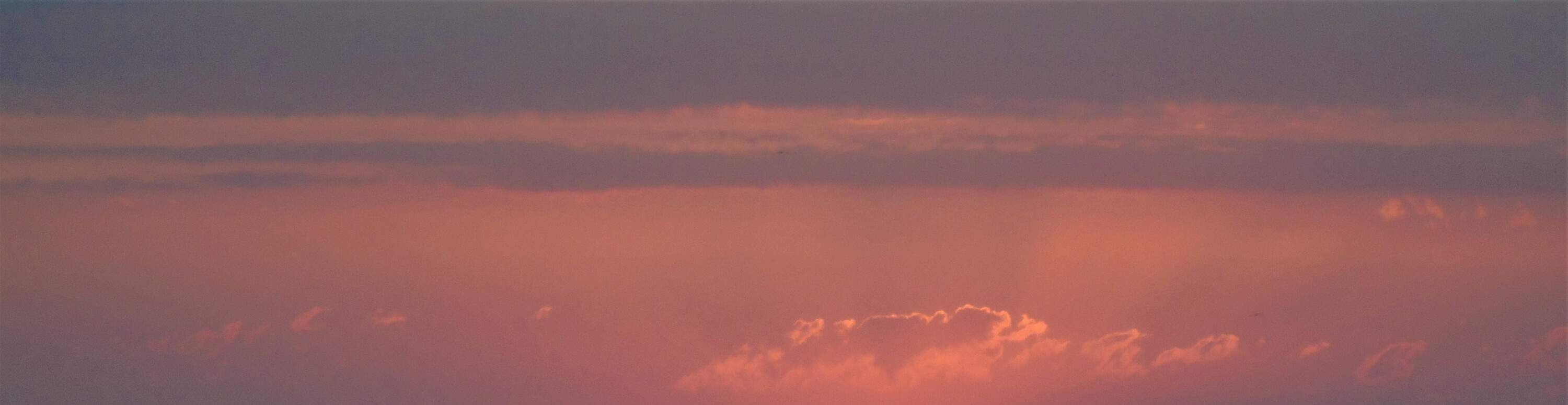 Group paddle session with stunning morning views of the sea