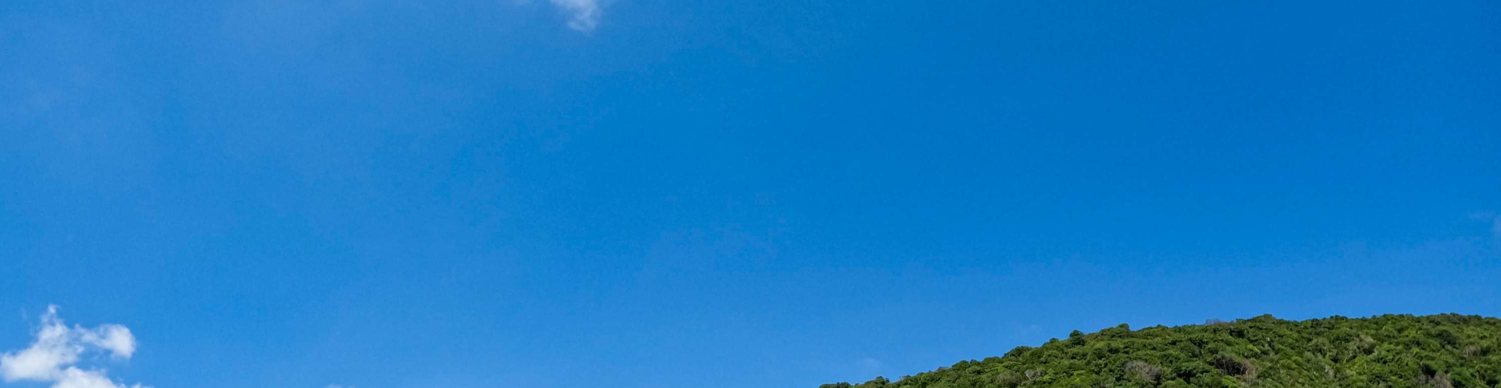 Esperienza all'Isola di Nemo con Foto con Drone e Pranzo