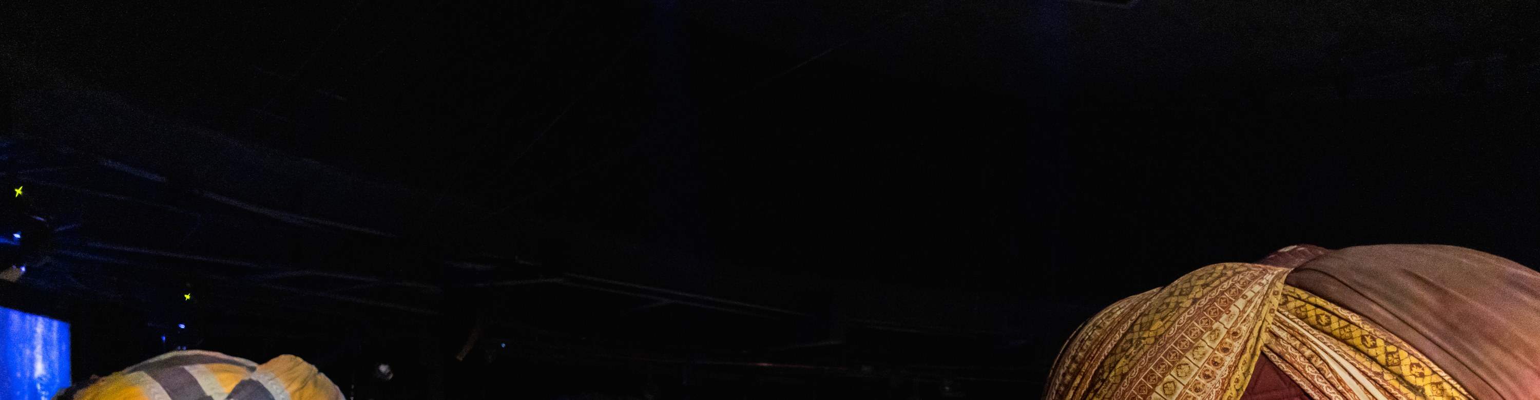 Déjese cautivar por las revolucionarias exhibiciones que tentarán sus fantasías.