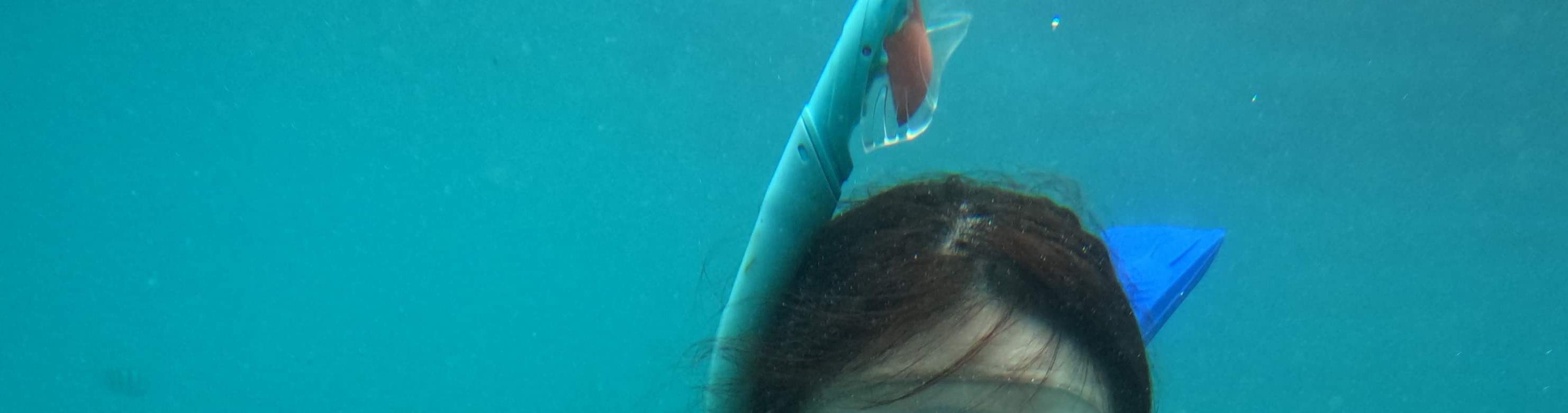 Snorkeling Tour at Bintan Resort Area by Taxi Bintan Island