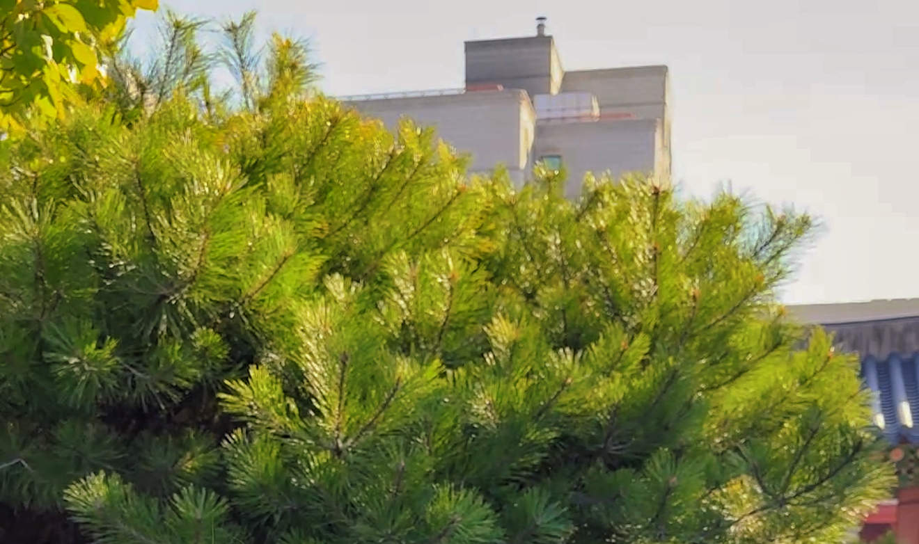 Photographes professionnels disponibles, parlant couramment chinois et coréen.
Fournir des conseils de pose professionnels.
À seulement une minute à pied de Mokgwanga (목관아).