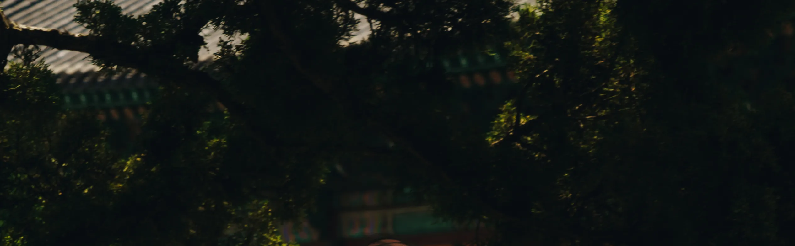 德寿宫