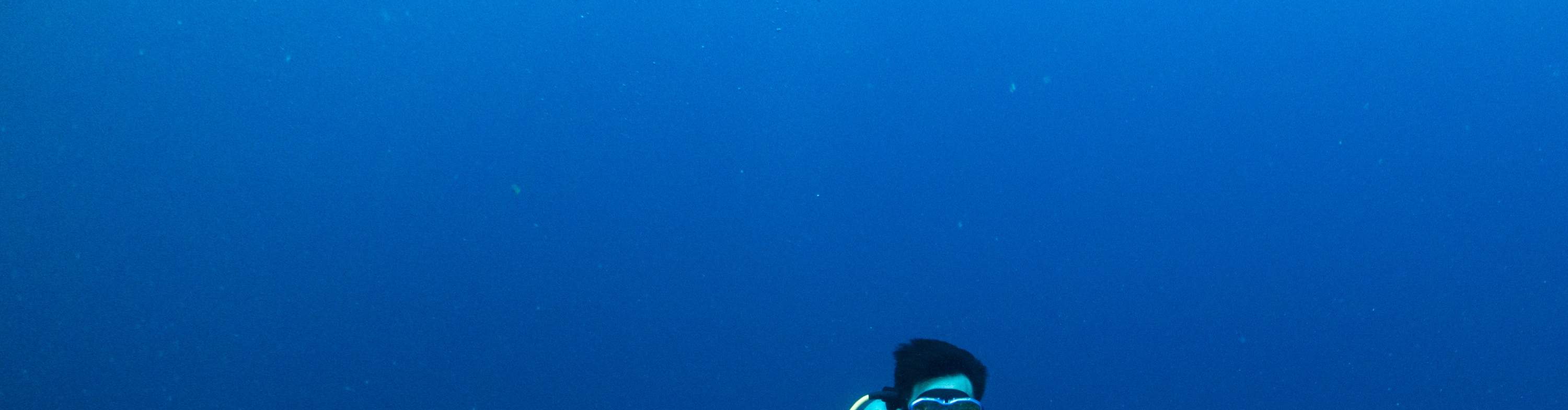 Kenting Blue Cave Diving Experience, PADI OW Open Water Diver ...