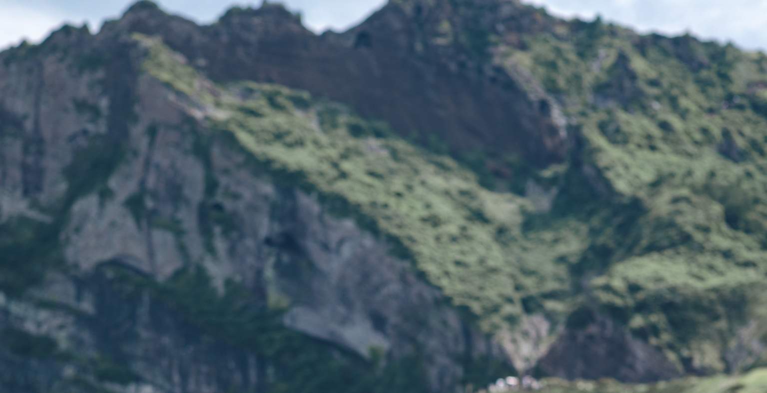 Pengalaman Pemotretan Outdoor dengan Hanbok Tradisional di Pulau Jeju