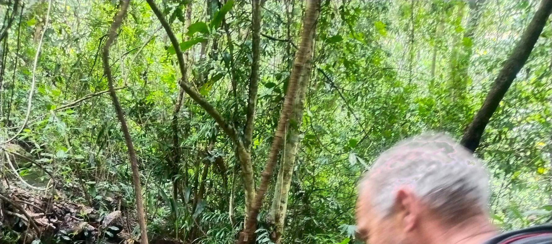 doi suthep pui national park
