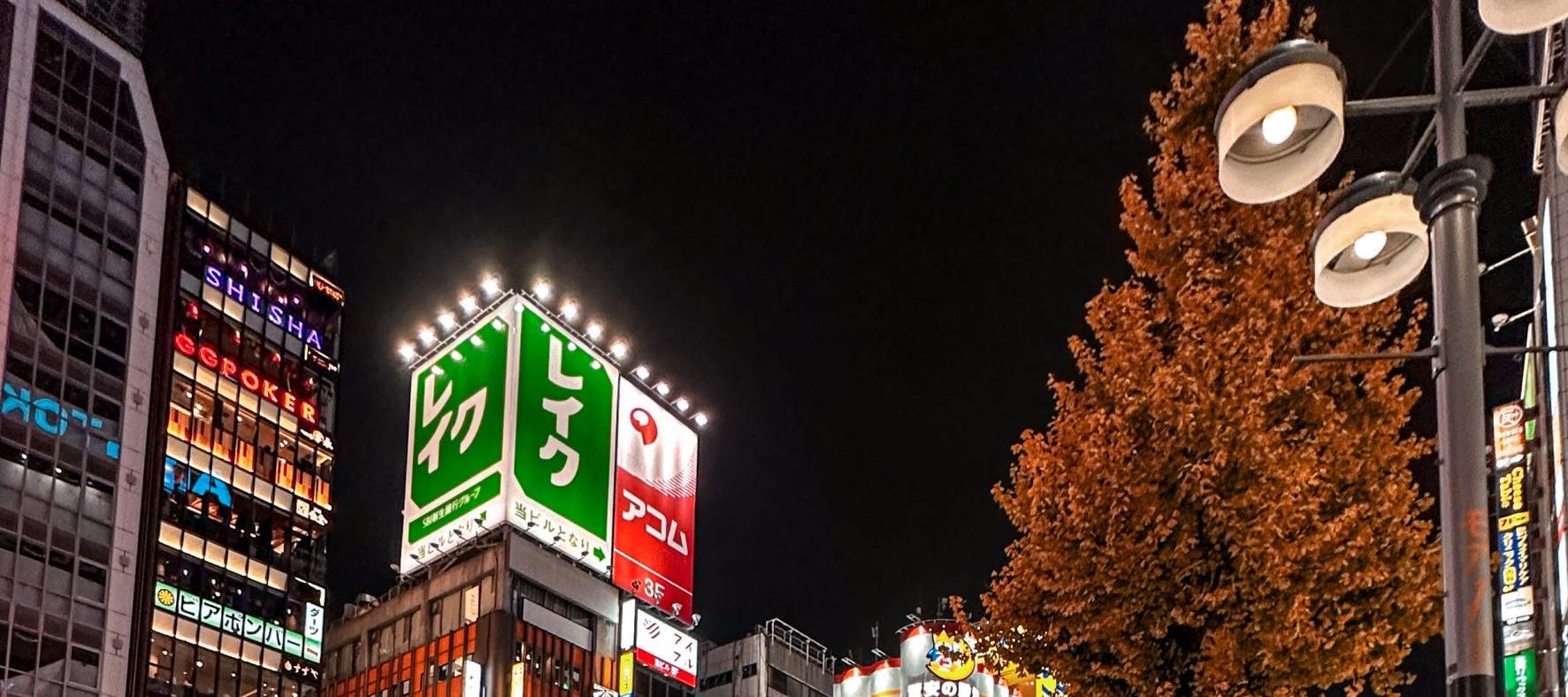 시부야에서 소규모 그룹 고카트 체험