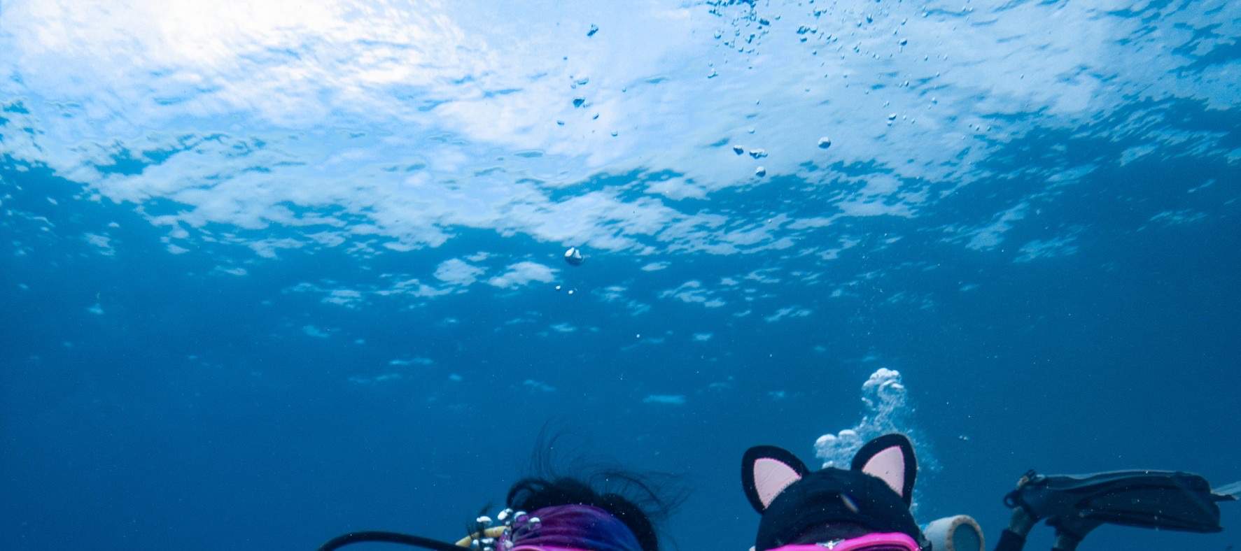 Xiaoliuqiu Schnorcheln: Poseidon Ocean Sports Club - Schnorchelerlebnis