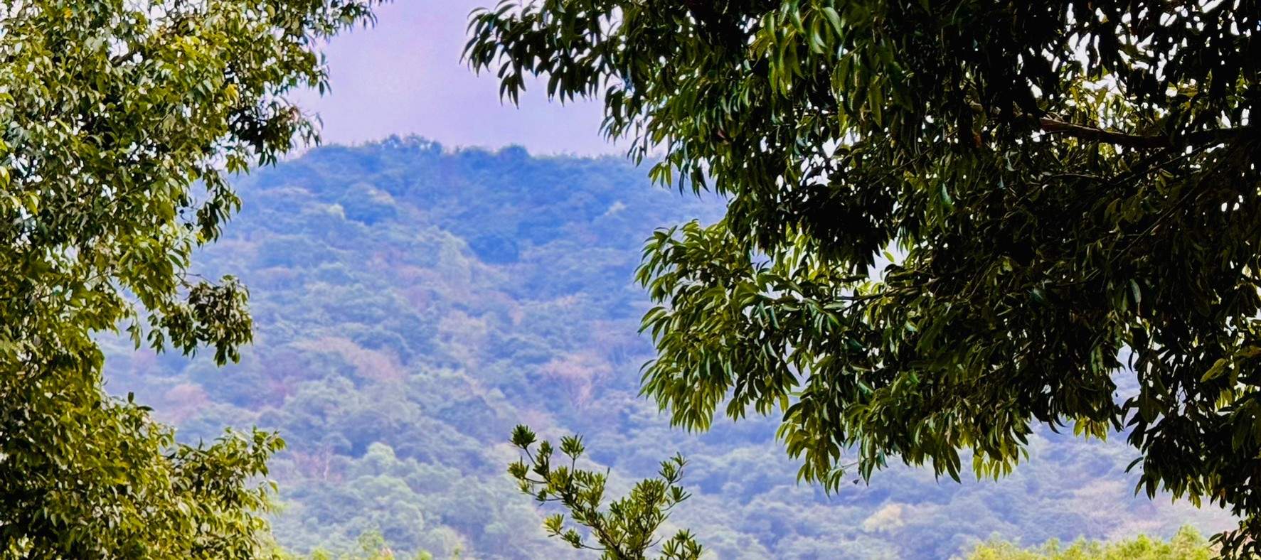 Yilan : Camping de luxe à Dong'ao sans tente