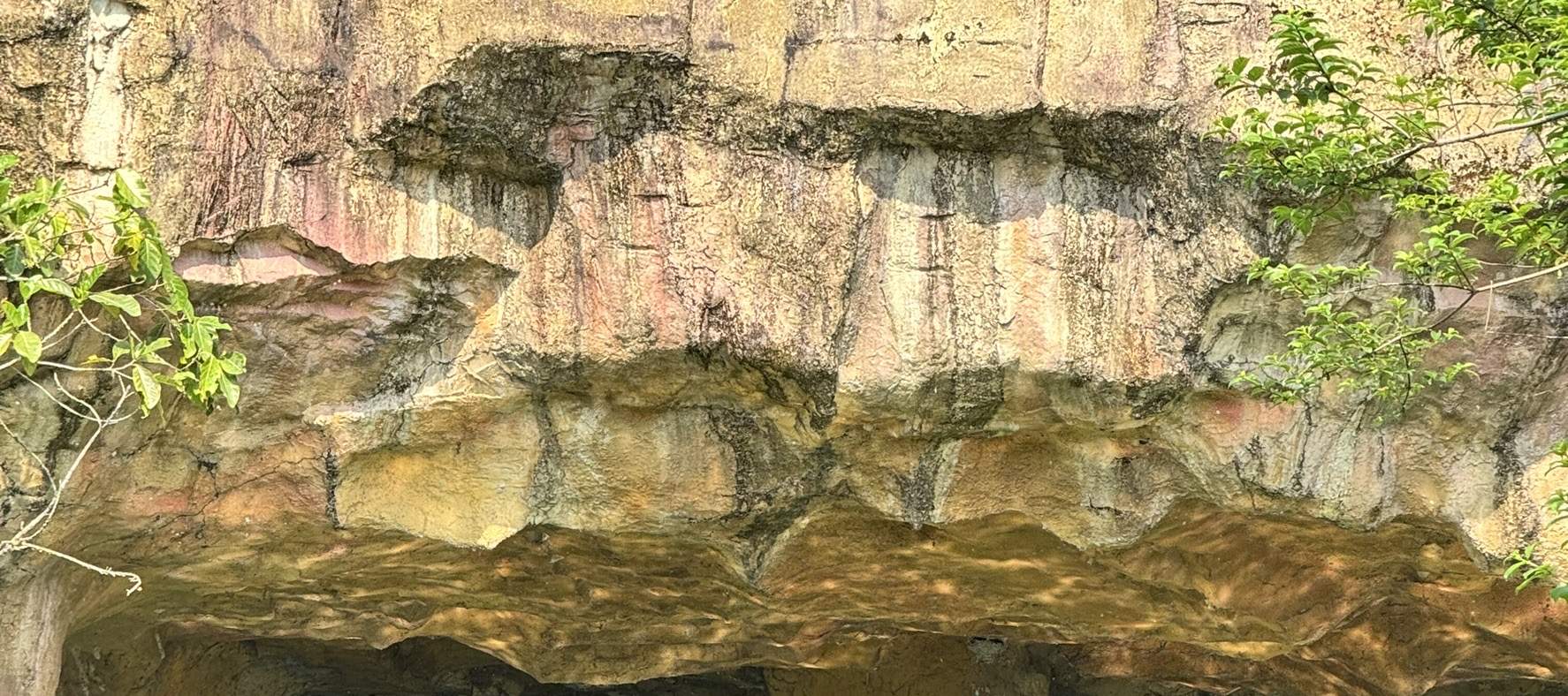 宜蘭: Thuyền điện & Xe đạp nước Sinh thái Làng Dongshan trên Sông Đông