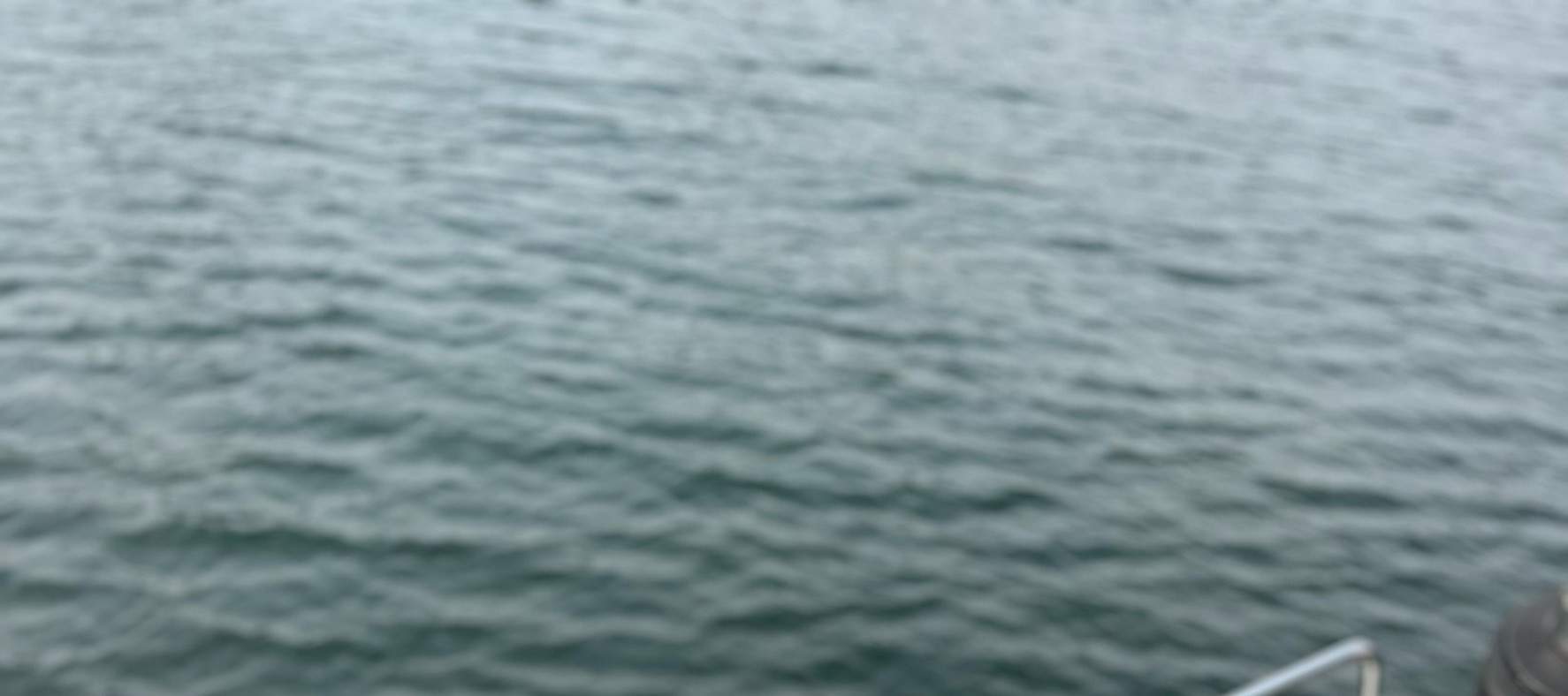 Esperienza di navigazione a vela a Kaohsiung