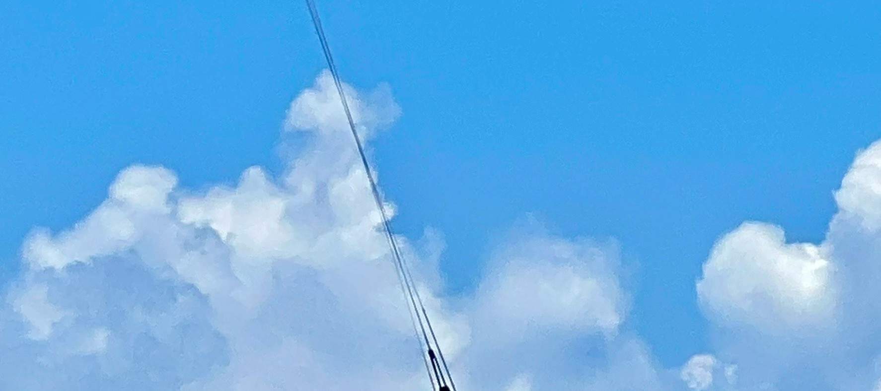 골드코스트 서핑 & 하이드로포일 체험