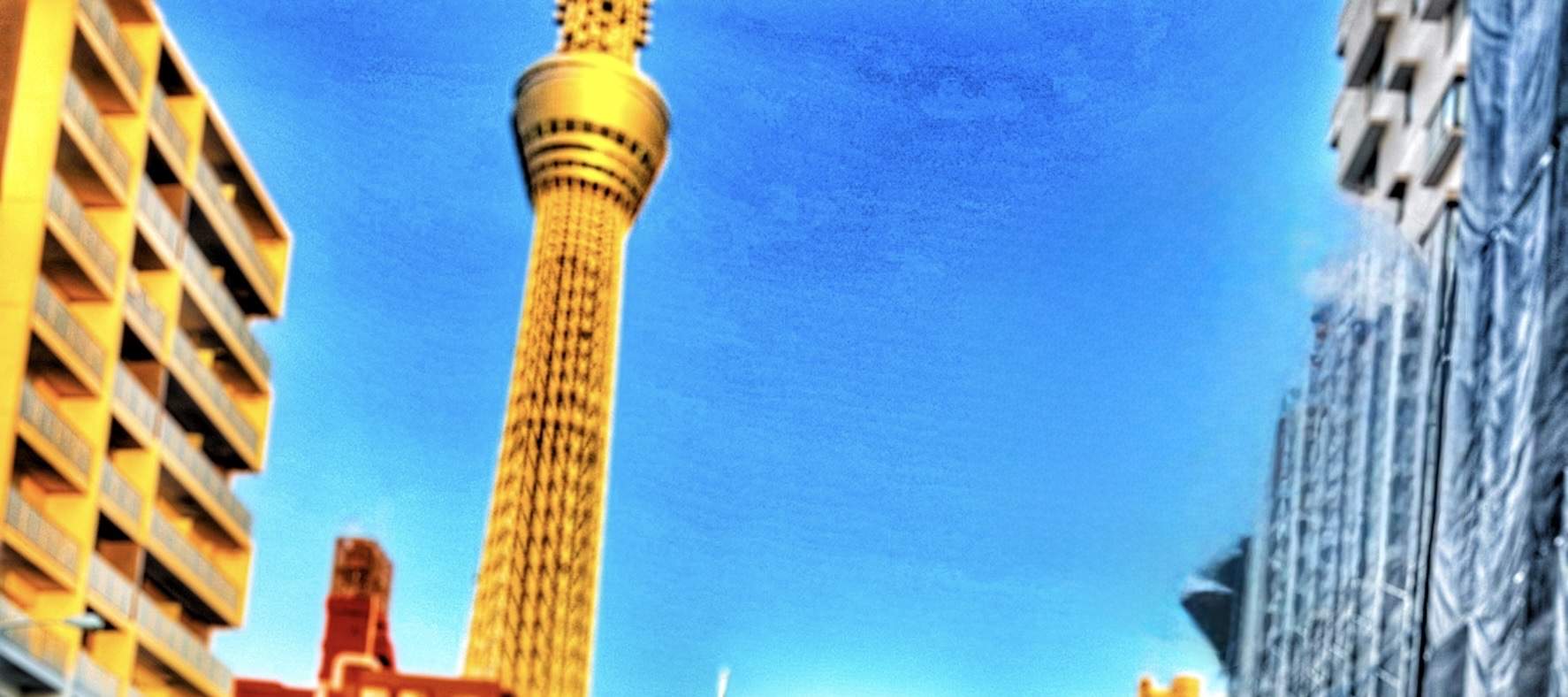 Small Group Go Kart Experience in Asakusa 