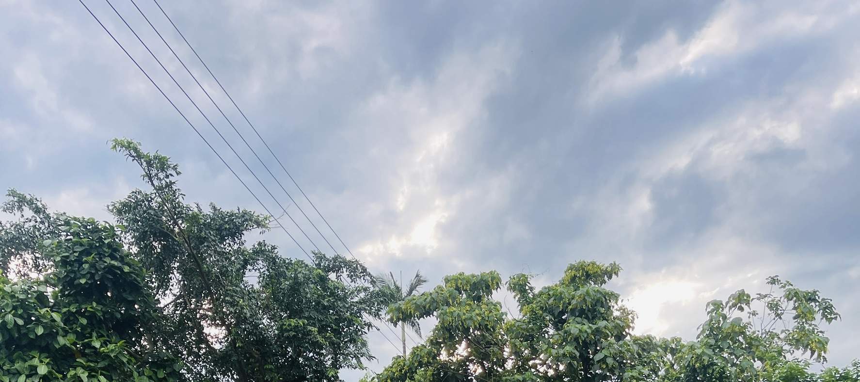 Đông Áo, Nghi Lan giới hạn ‧Khu vực đạn pha lê - Sân chơi thực tế ảo toàn độ tuổi