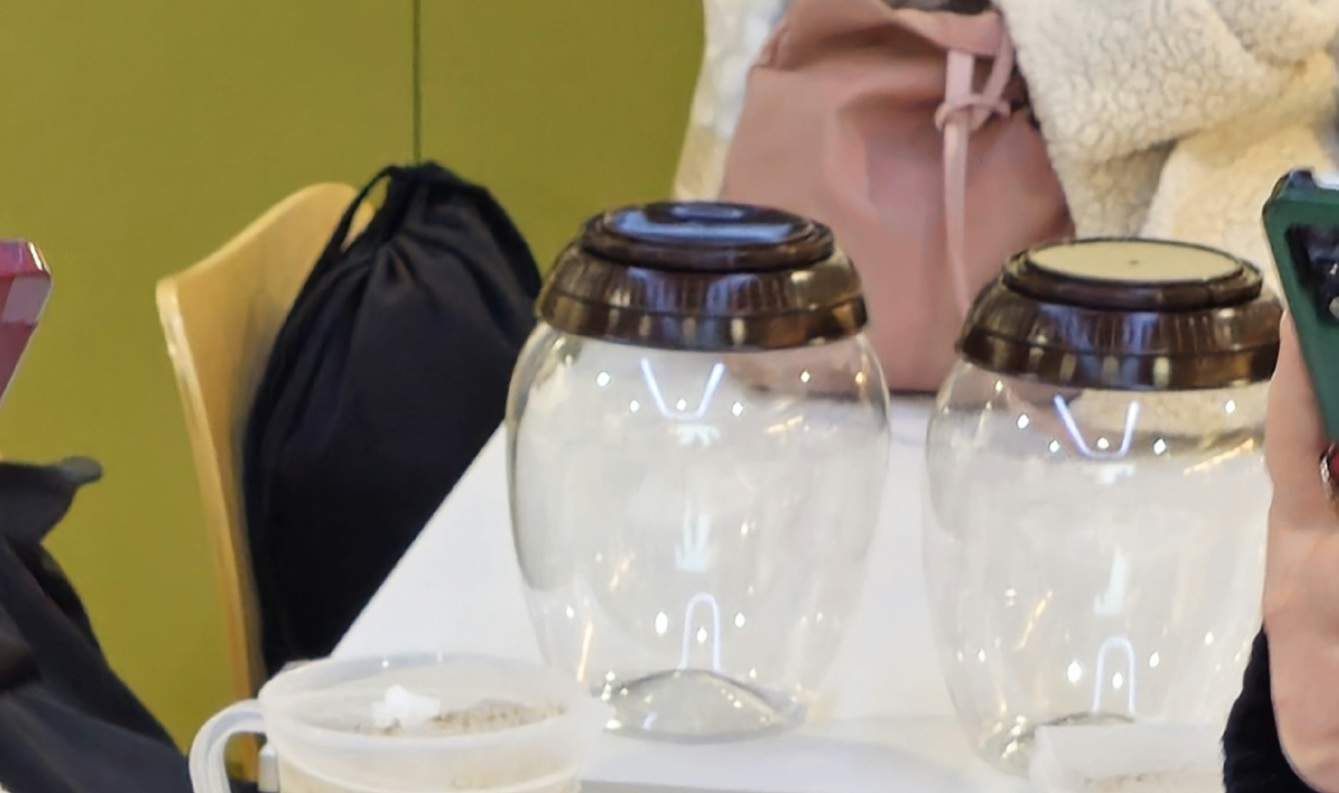 マッコリを味わう