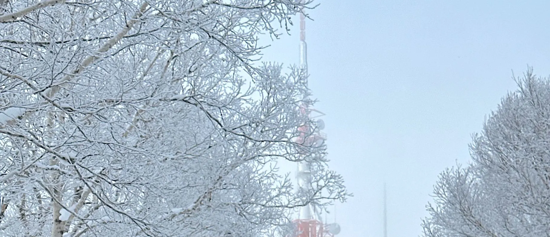 Sapporo Departure丨Teine Ski Resort All-Inclusive Day Trip丨Hokkaido Tourism Organization (HTO) Official Certification