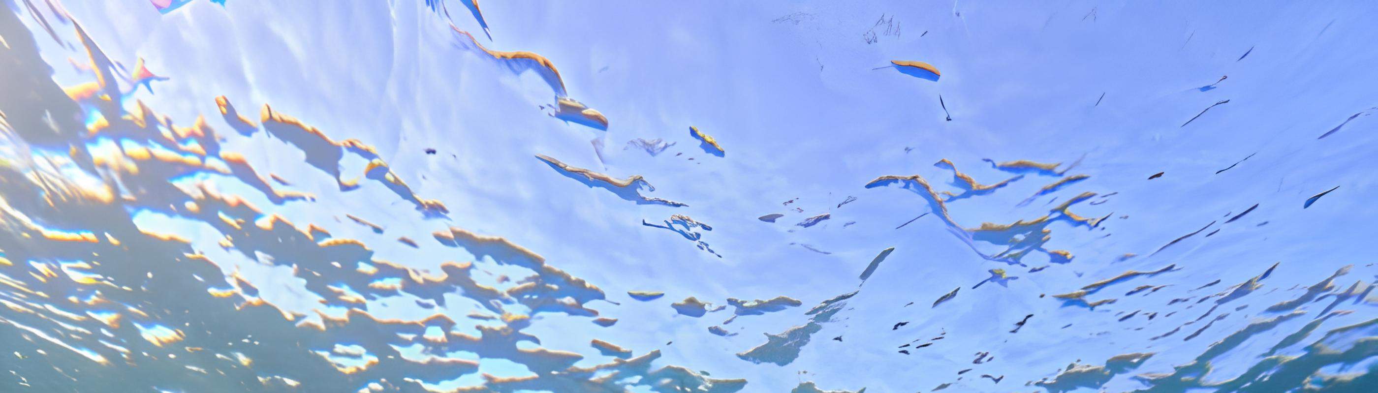 ไปสำรวจจุดกระดองเต่ากันเลย