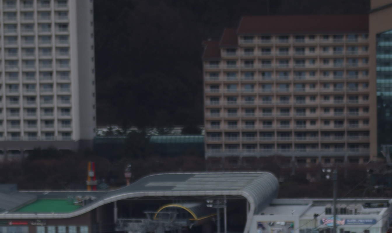 ウェリヒリパーク プライベートスキーレッスンPKG