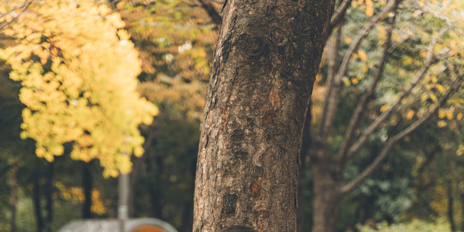 Immortalisez vos précieux moments grâce à une séance photo !