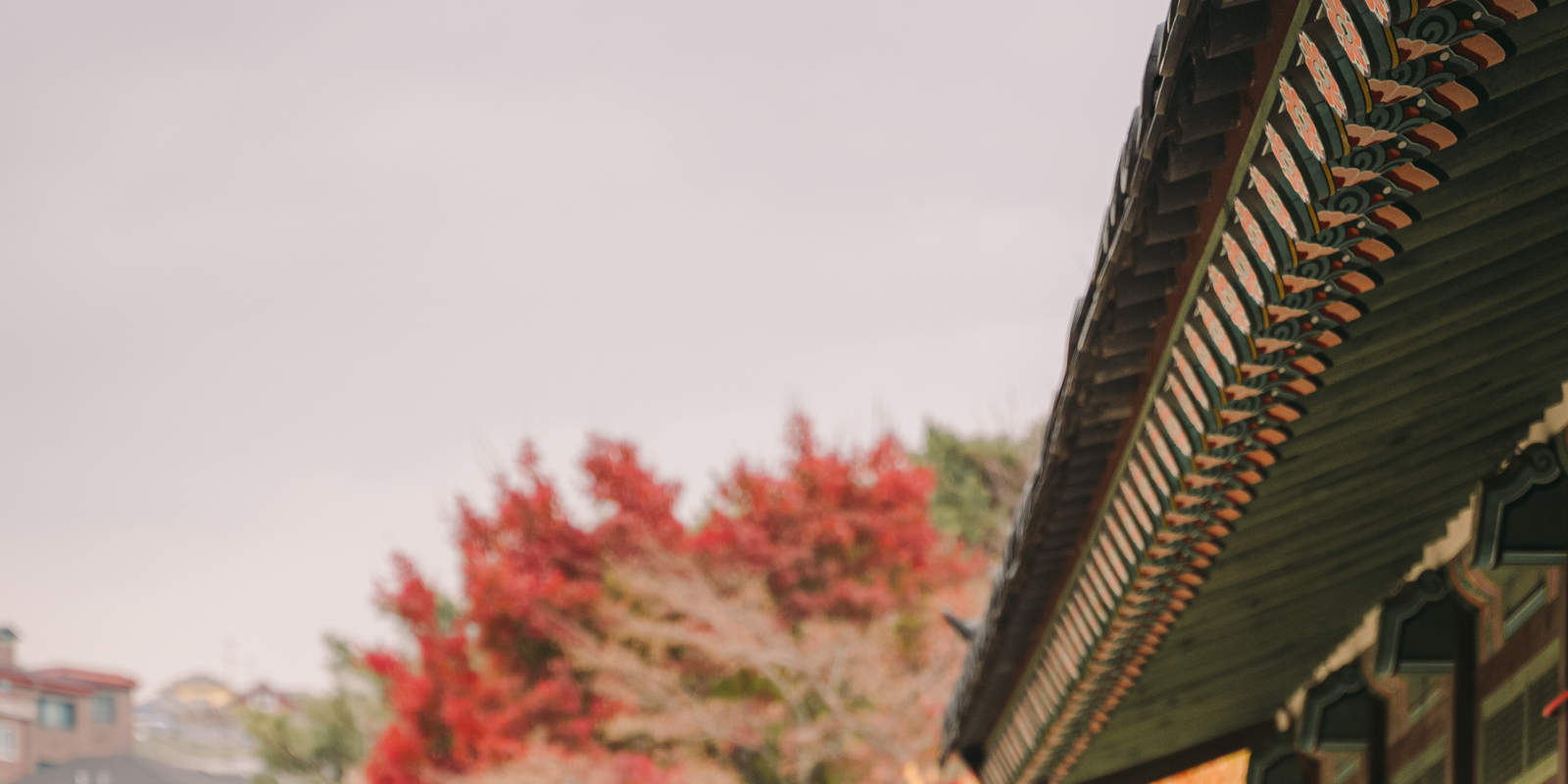 Pemandangan Seoul: Pengalaman Pemotretan