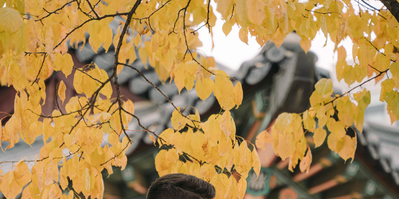 Pemandangan Seoul: Pengalaman Pemotretan