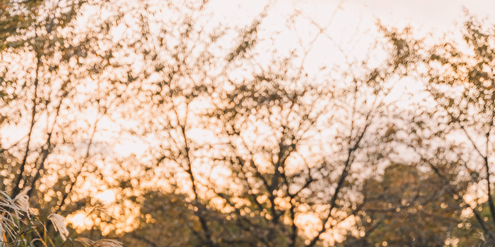 Immortalisez vos précieux moments grâce à une séance photo !