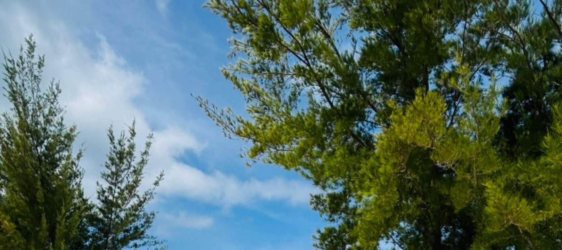 Tour Lặn ống thở trong ngày Sabah Magic Mengalum Kota Kinabalu