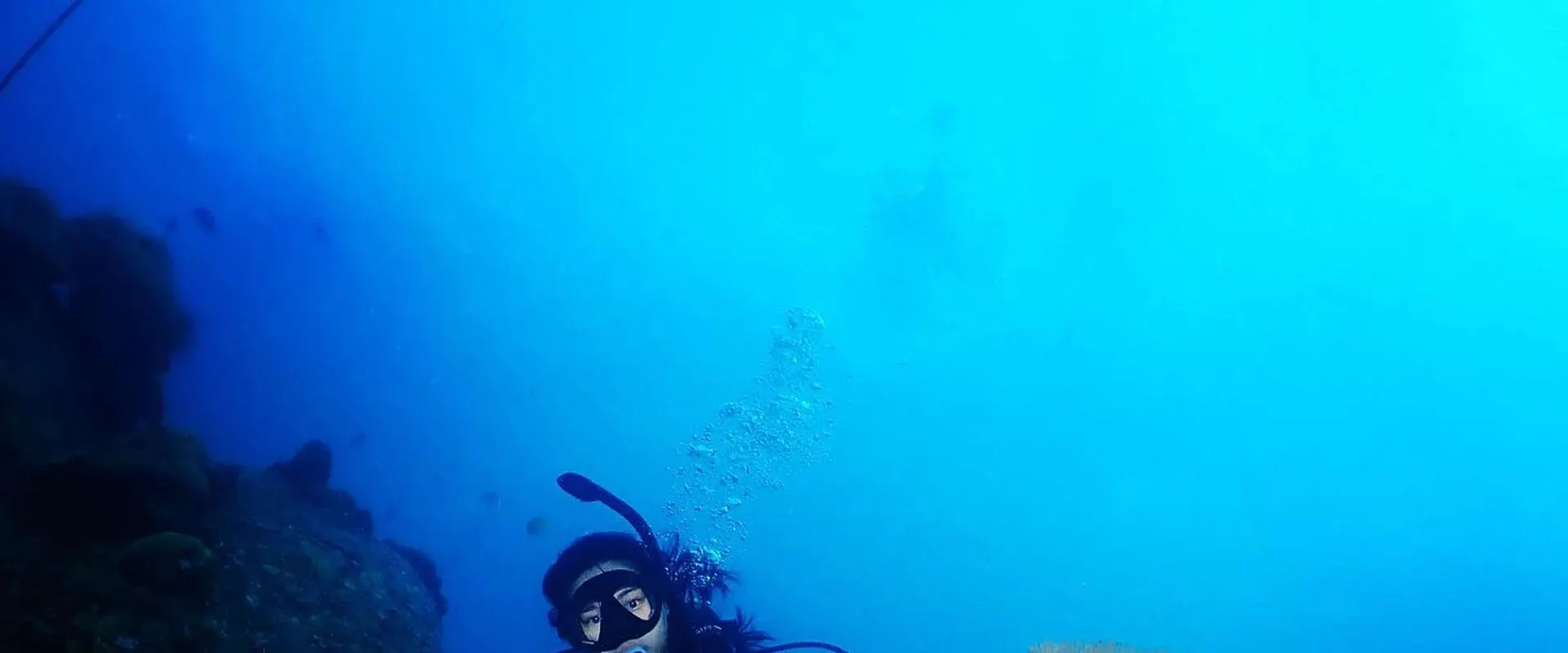 通过我们全面的高级课程，沉浸在刁曼岛海底世界的奇妙之中
