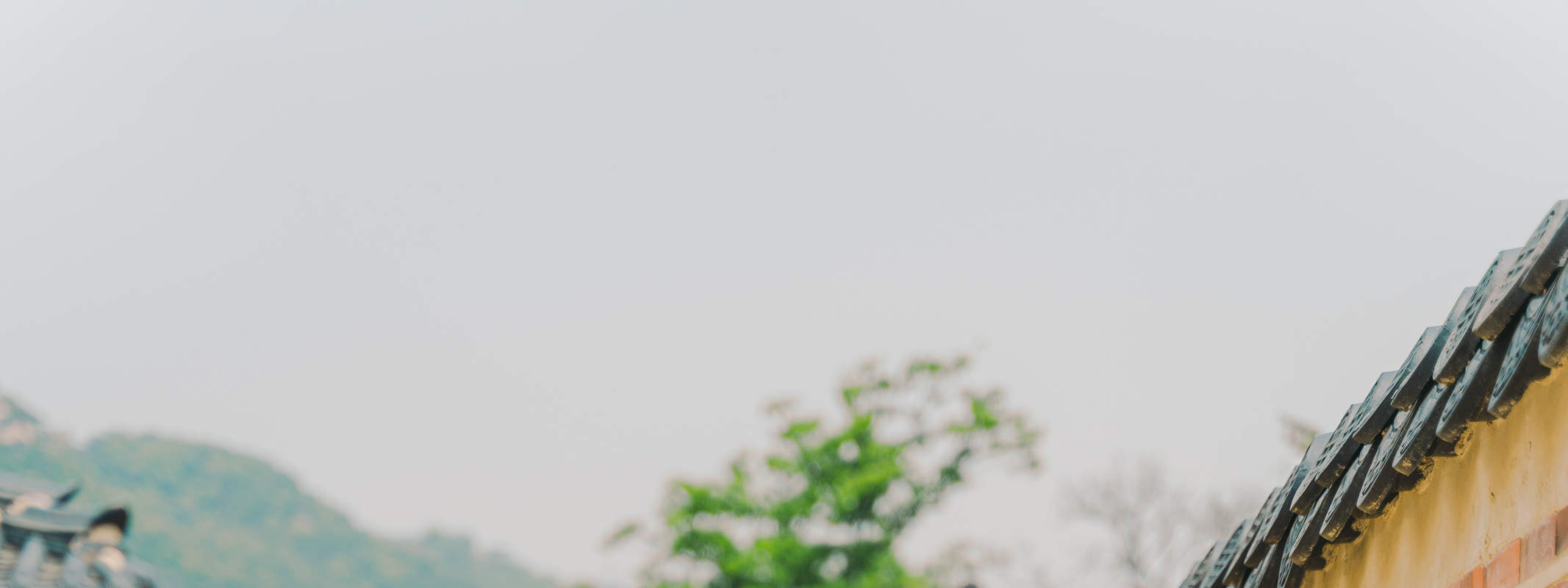 Pemandangan Seoul: Pengalaman Pemotretan