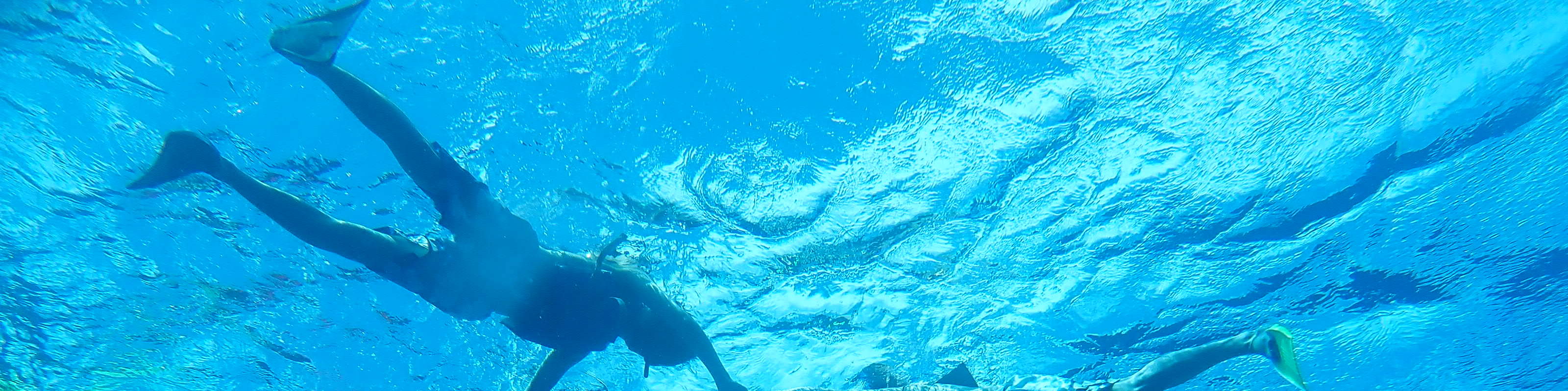 Kayak Snorkeling Penyu