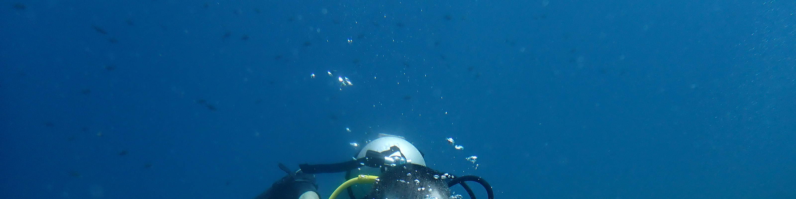 PADI Open Water Diver