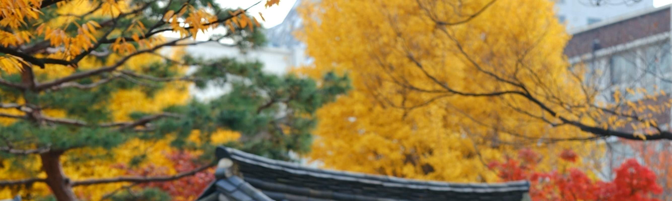 美しい韓服で大切な人と忘れられない思い出を作りましょう。(プレミアム韓服)